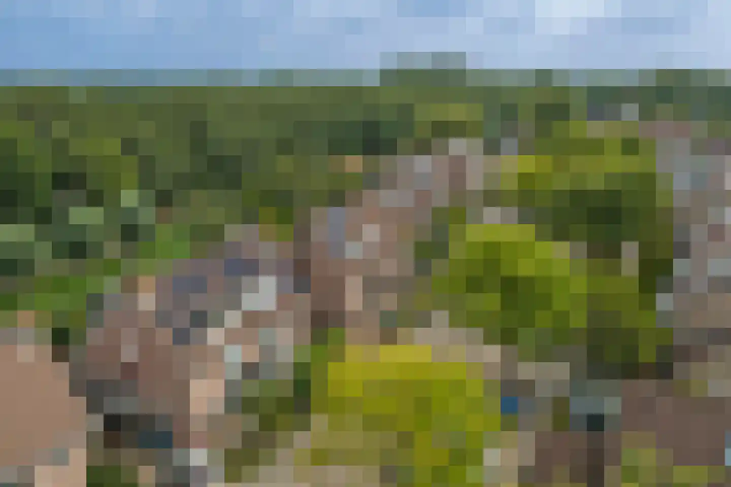 Steur 60 Ridderkerk thumbnail 63