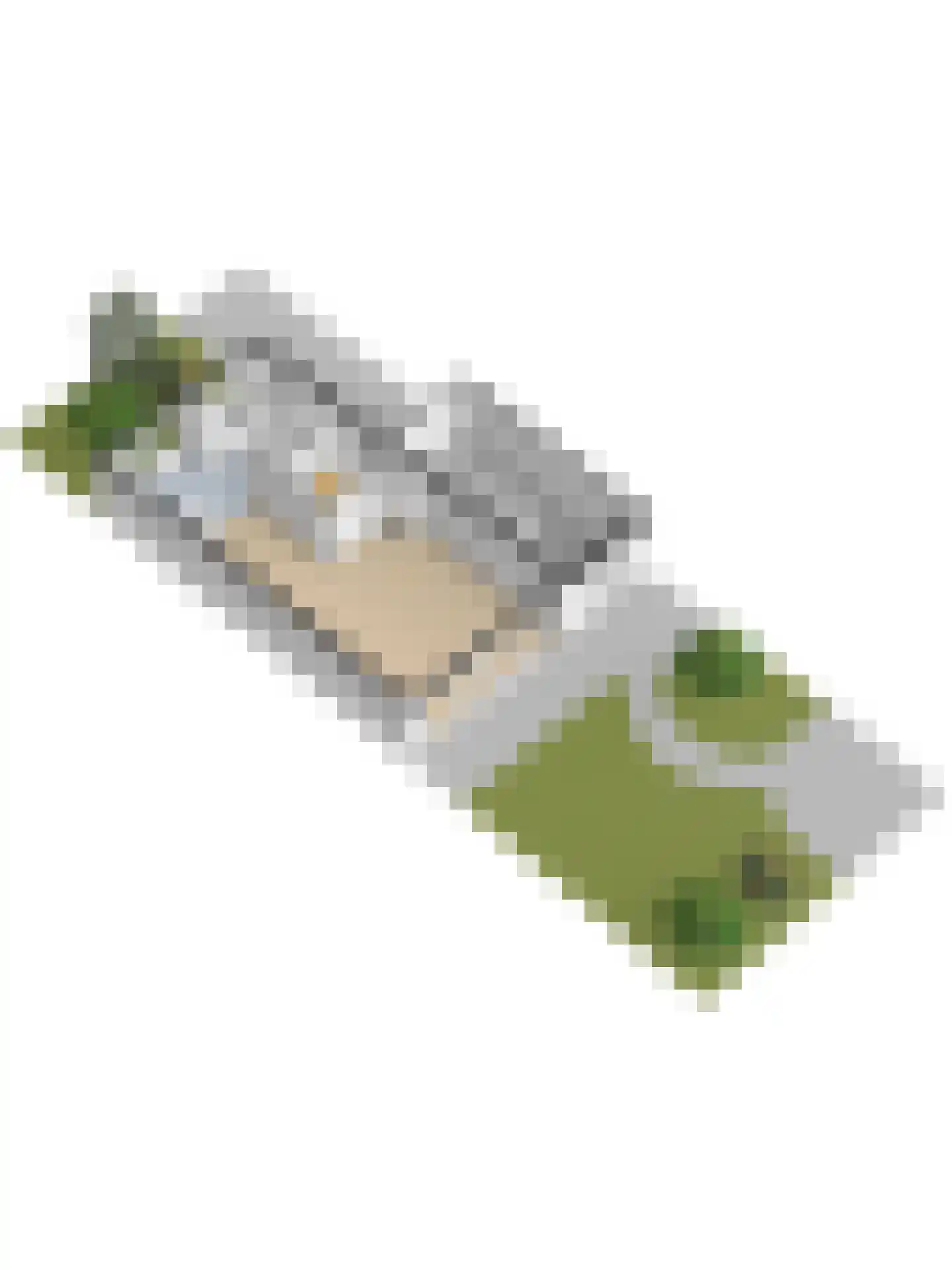 Steur 60 Ridderkerk thumbnail 67