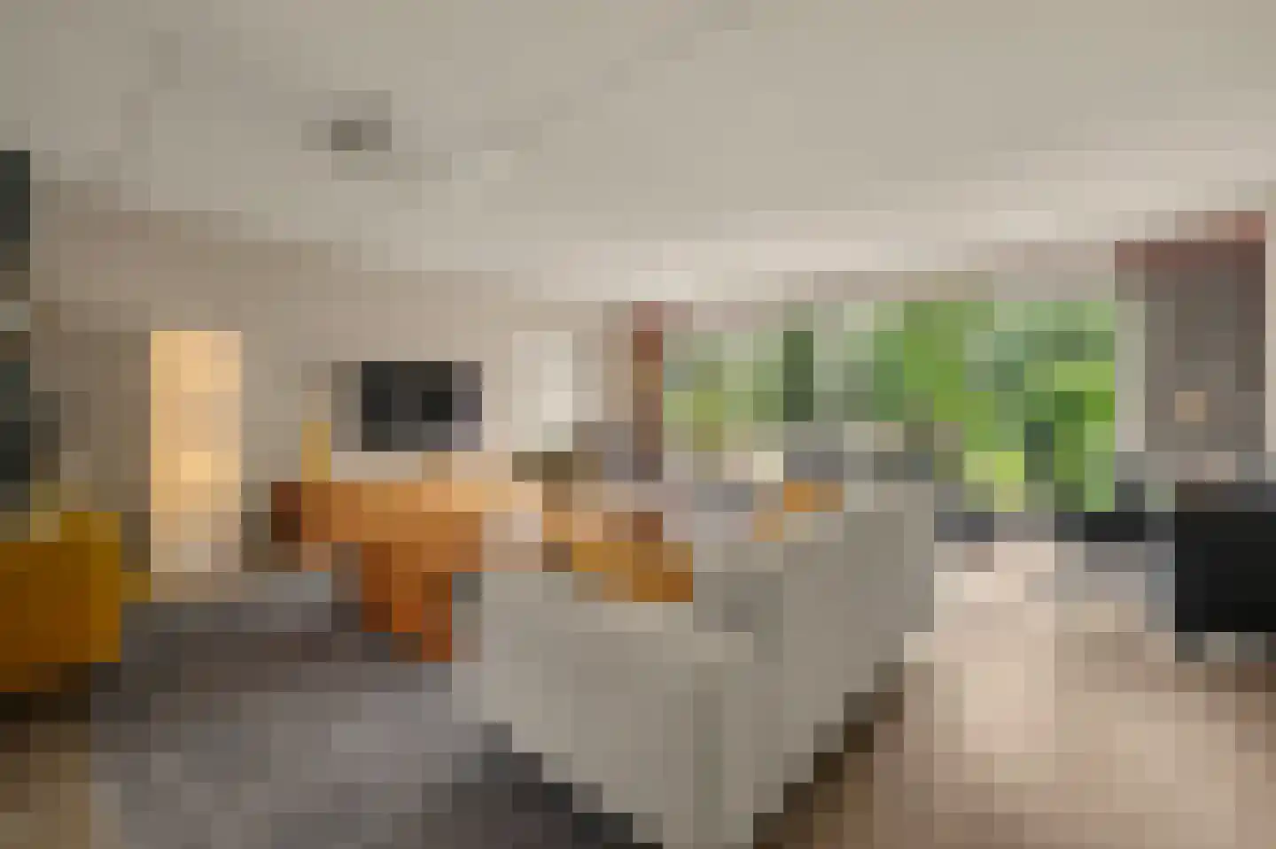 Steur 60 Ridderkerk thumbnail 9