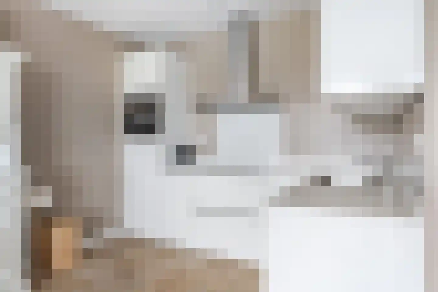 Steur 8 Hendrik-Ido-Ambacht thumbnail 20