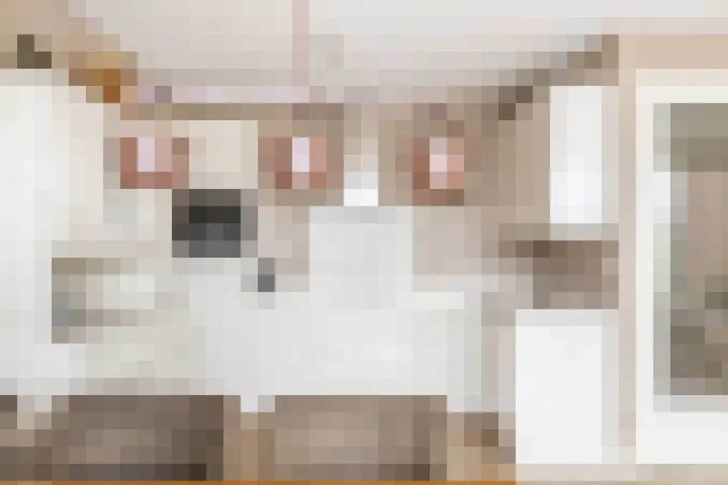 Steur 8 Hendrik-Ido-Ambacht thumbnail 23