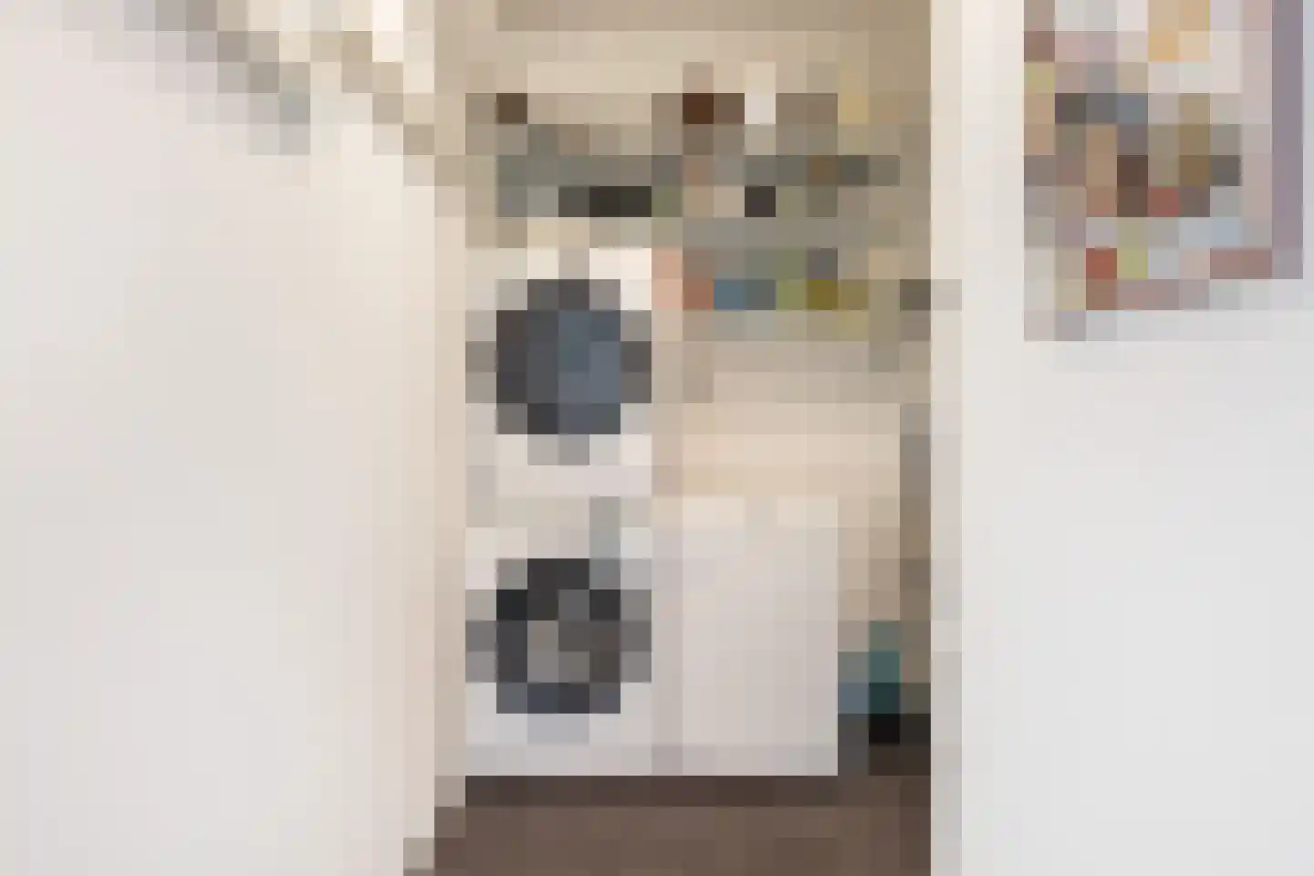 Steur 8 Hendrik-Ido-Ambacht thumbnail 33