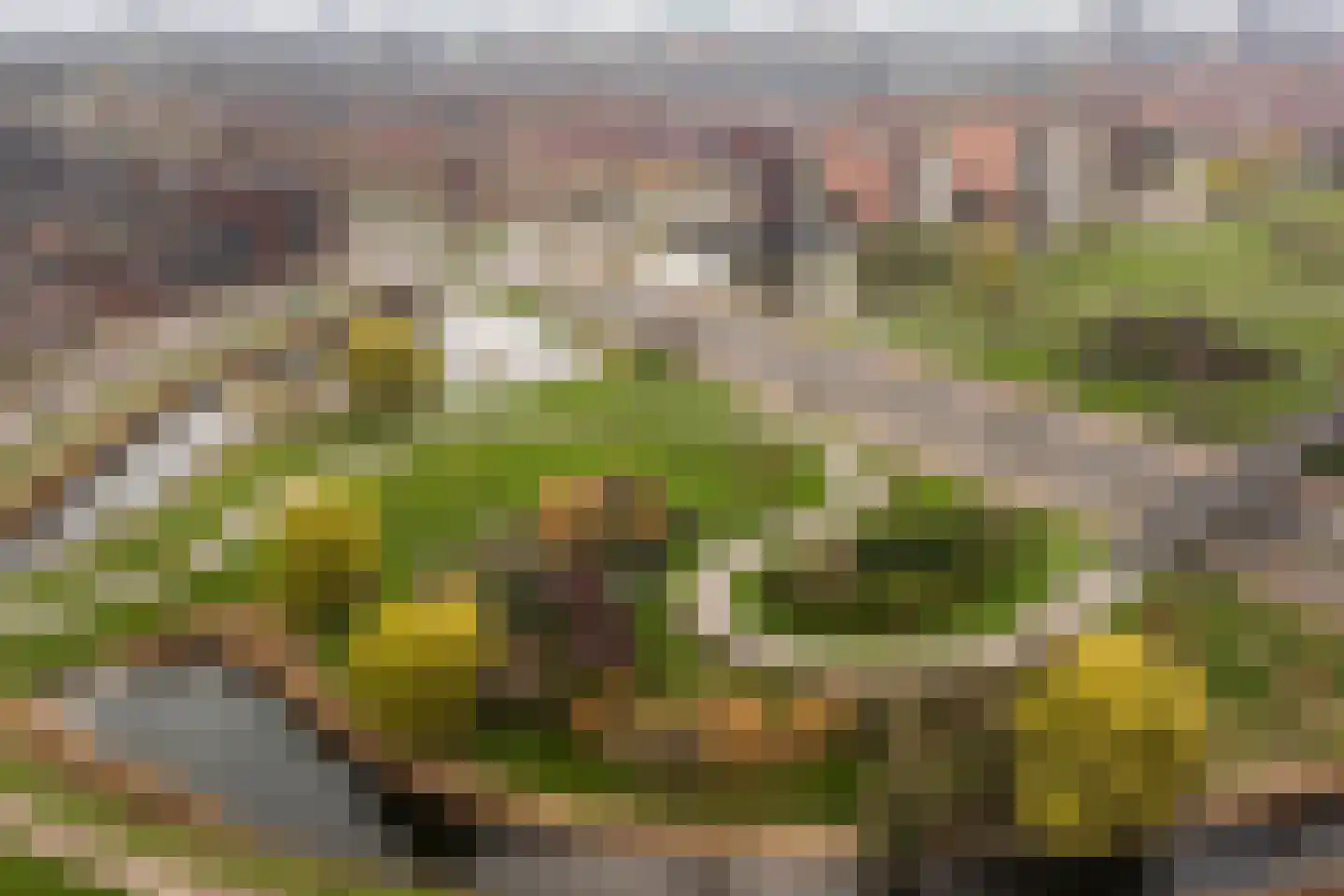Steur 8 Hendrik-Ido-Ambacht thumbnail 42