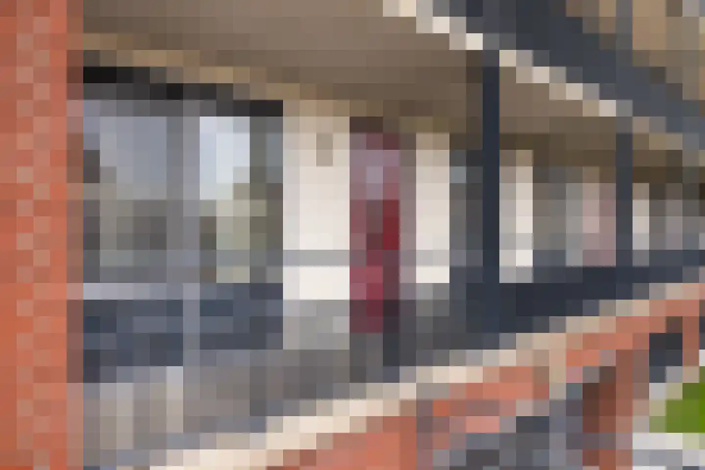 Steur 8 Hendrik-Ido-Ambacht thumbnail 5