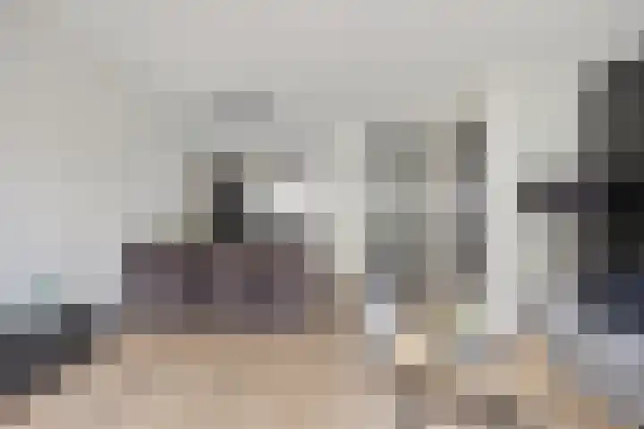 Steur 98 Hendrik-Ido-Ambacht thumbnail 12
