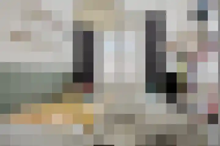 Steur 98 Hendrik-Ido-Ambacht thumbnail 29