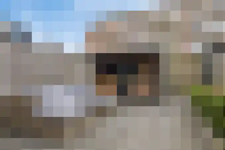 Steur 98 Hendrik-Ido-Ambacht thumbnail 34