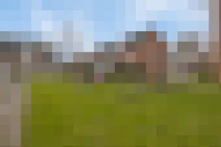 Steur 98 Hendrik-Ido-Ambacht thumbnail 35