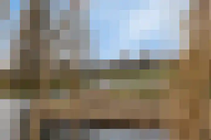 Steur 98 Hendrik-Ido-Ambacht thumbnail 36