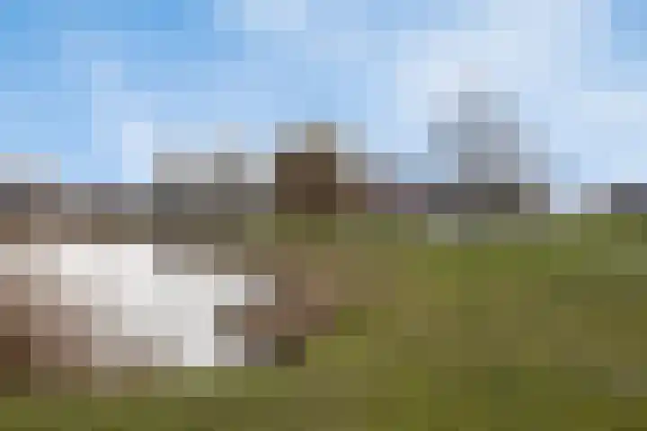 Steur 98 Hendrik-Ido-Ambacht thumbnail 37