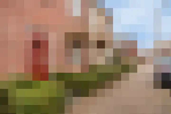 Steur 98 Hendrik-Ido-Ambacht thumbnail 4