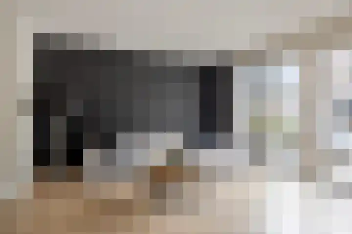 Steur 98 Hendrik-Ido-Ambacht thumbnail 8