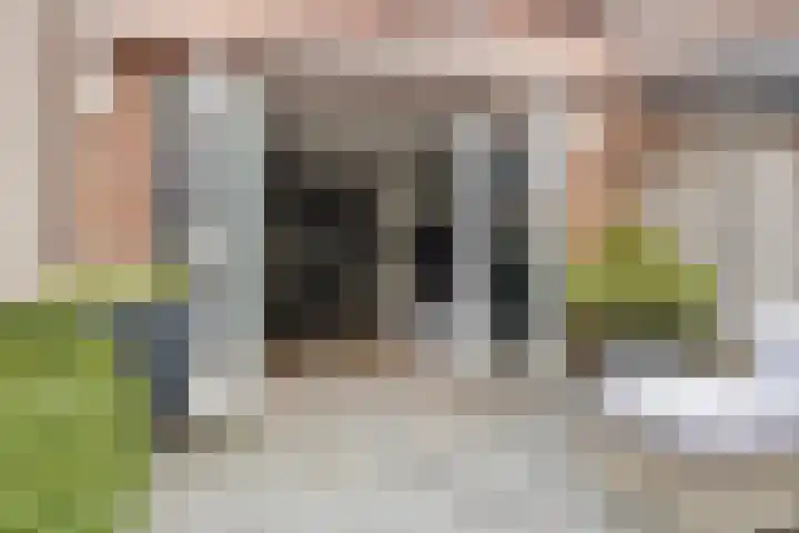 Steur 98 Hendrik-Ido-Ambacht thumbnail 9