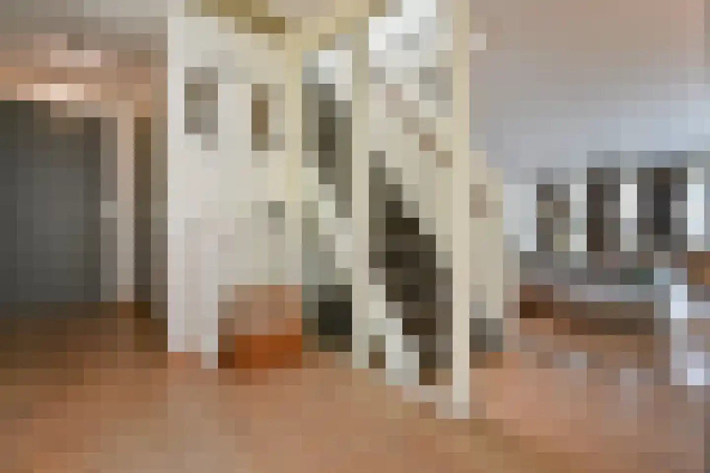 Steureiland 19 Den Haag thumbnail 14