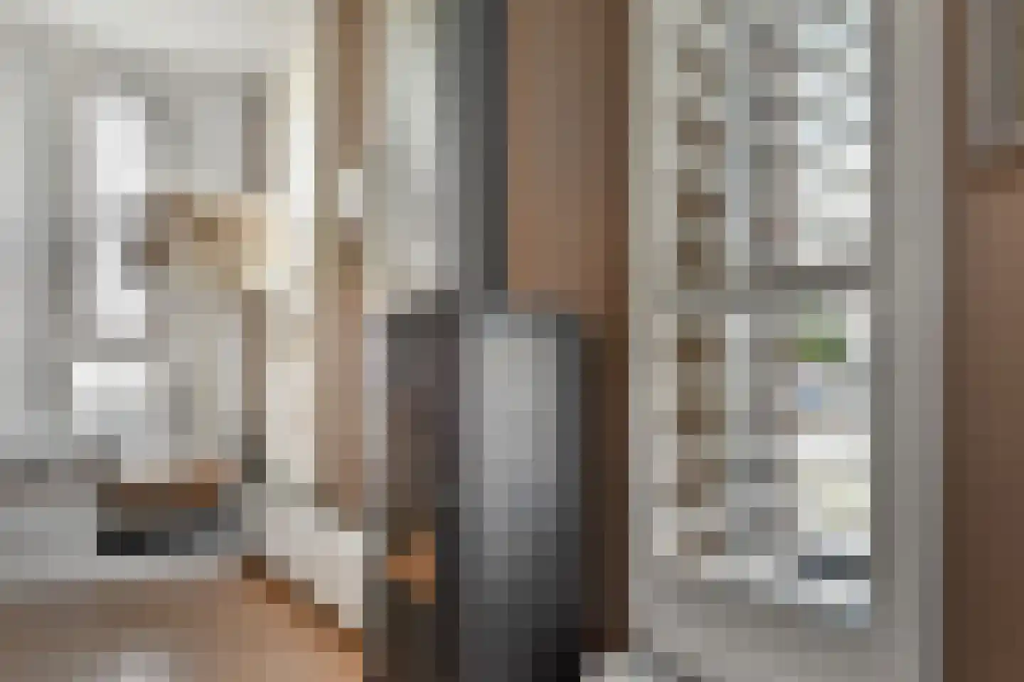 Steureiland 19 Den Haag thumbnail 18