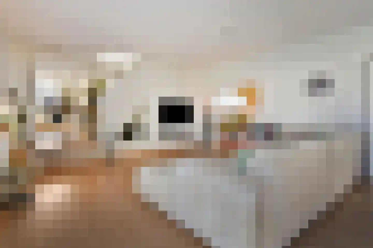 Steureiland 19 Den Haag thumbnail 19