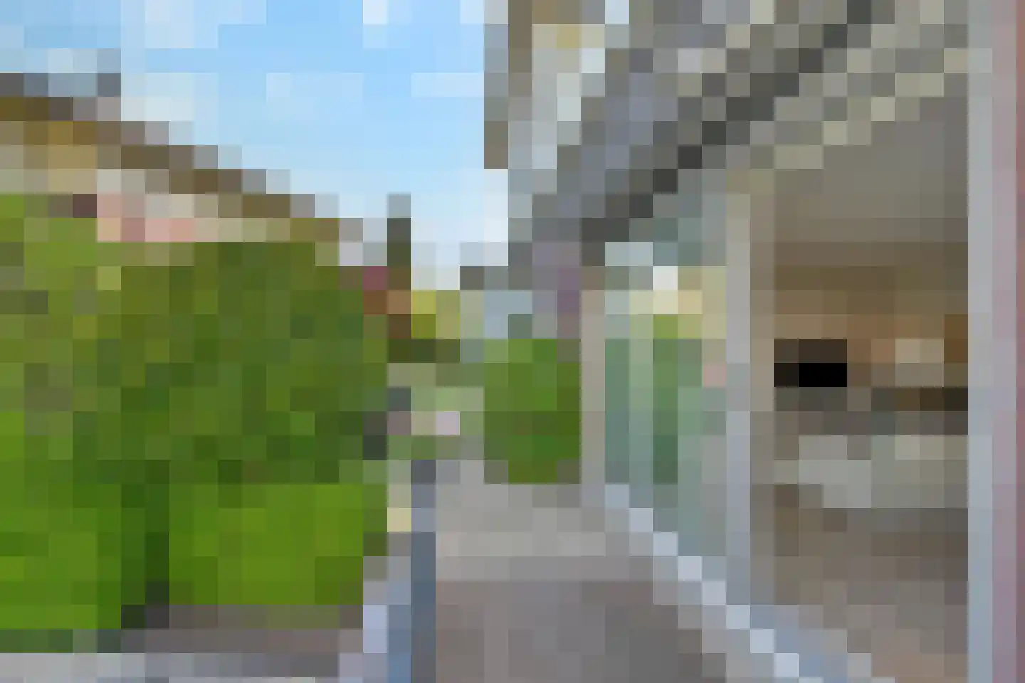 Steureiland 19 Den Haag thumbnail 37