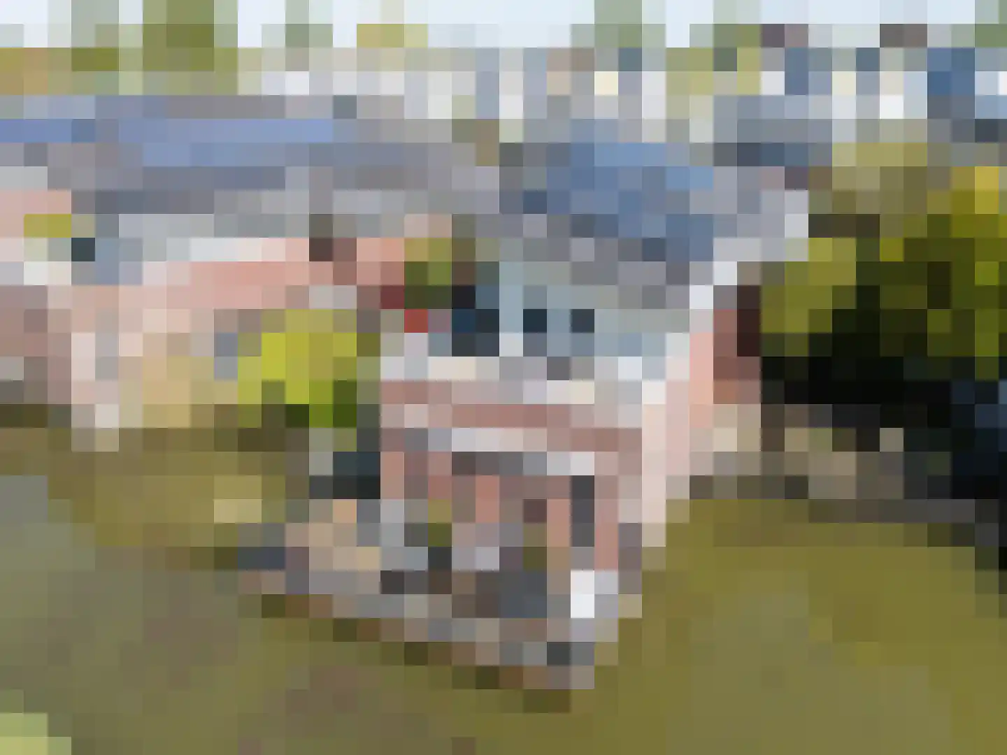 Steureiland 19 Den Haag thumbnail 4