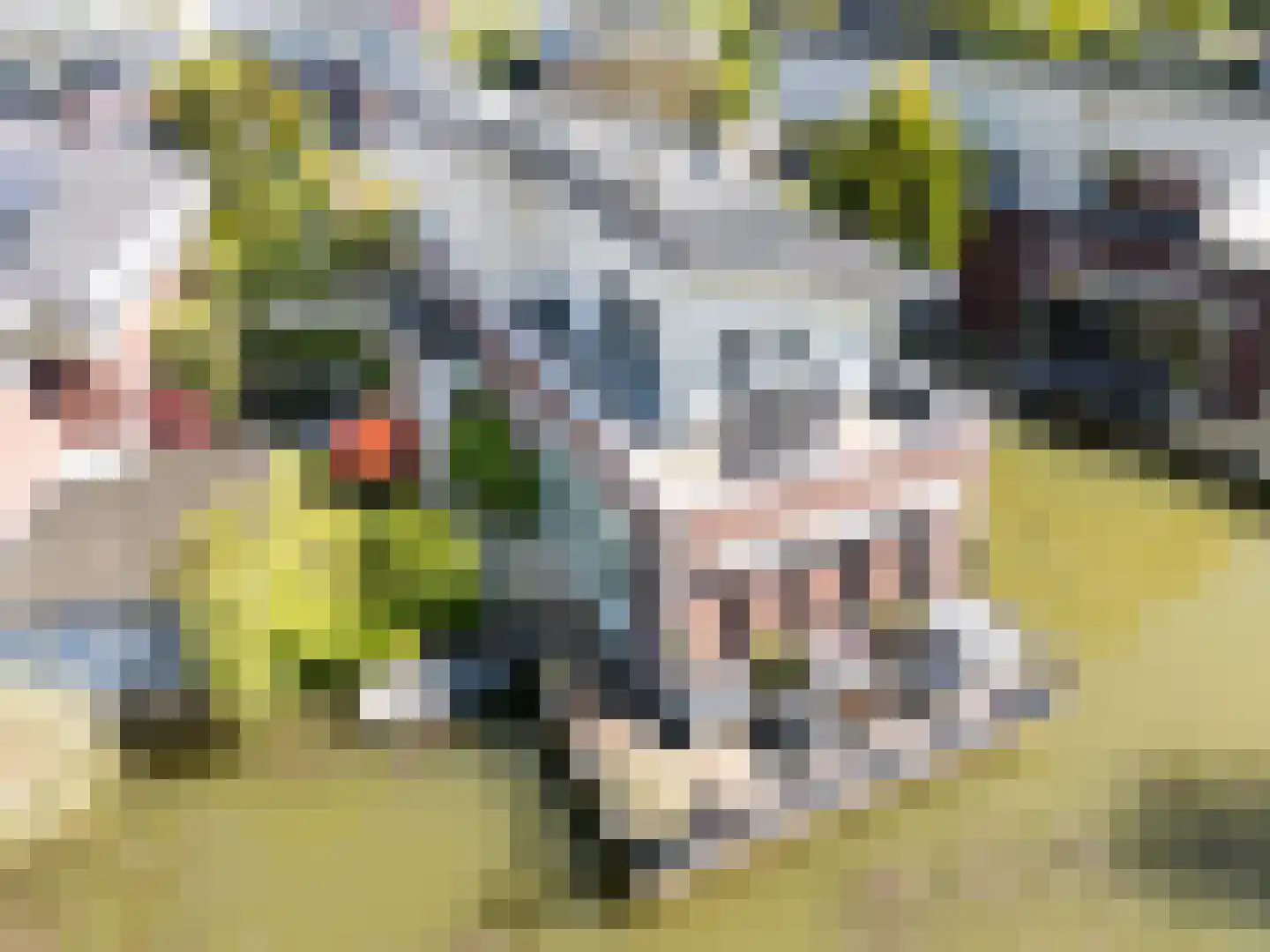 Steureiland 19 Den Haag thumbnail 8
