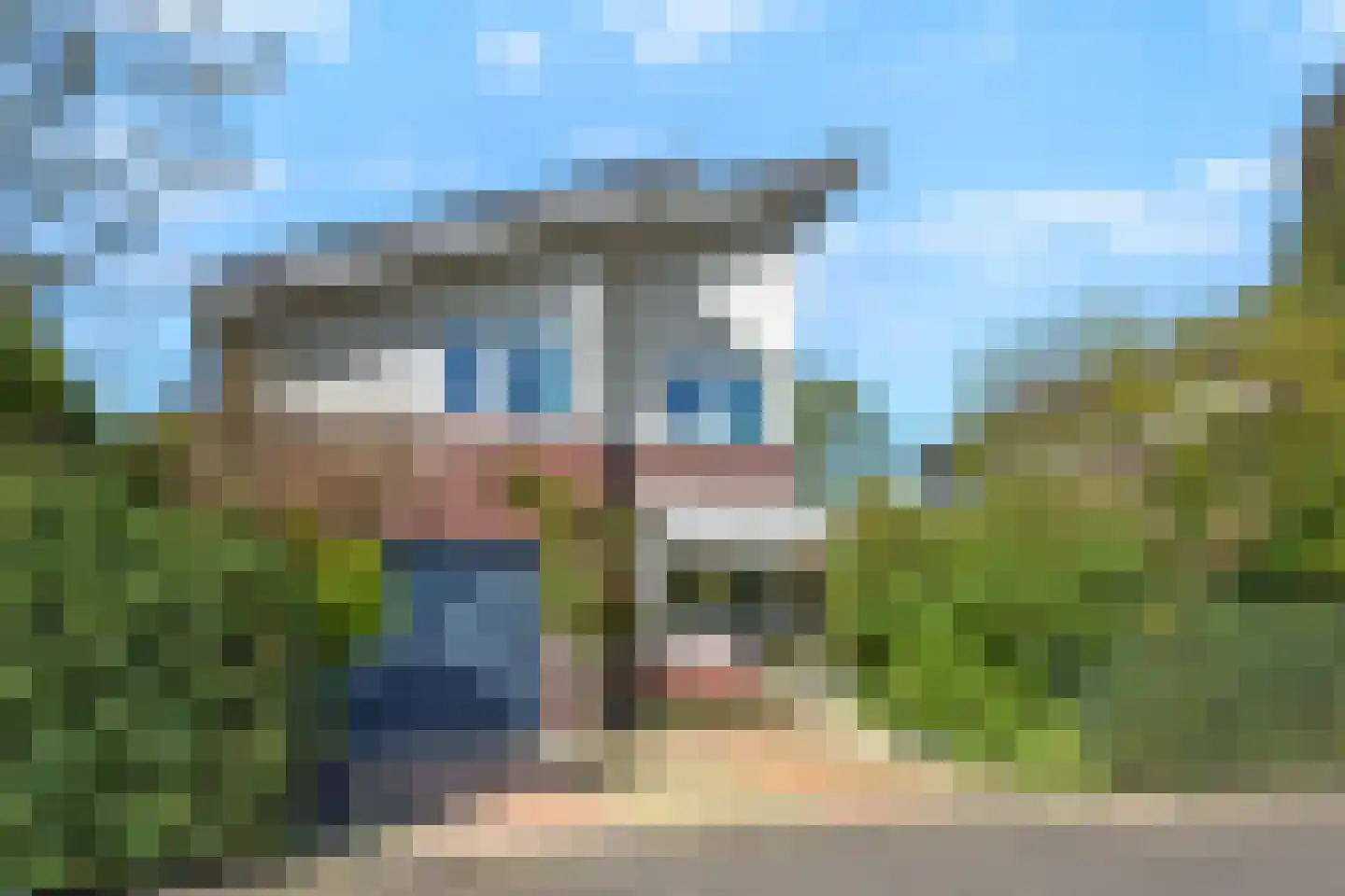 Steureiland 19 Den Haag thumbnail 9