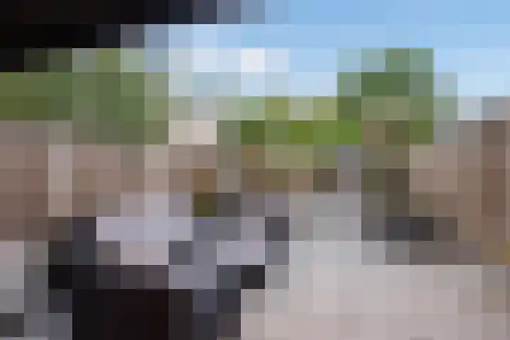 Steurendaal 24 Den Haag thumbnail 12