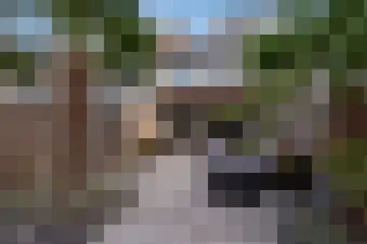 Steurendaal 24 Den Haag thumbnail 13