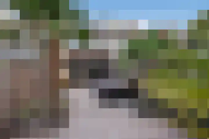 Steurendaal 24 Den Haag thumbnail 14