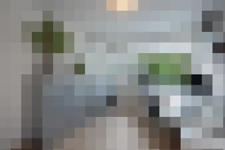 Steurendaal 24 Den Haag thumbnail 21