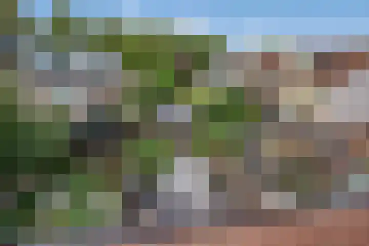 Steurendaal 24 Den Haag thumbnail 33