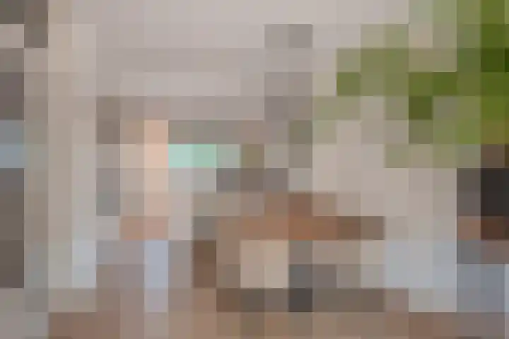 Steurendaal 24 Den Haag thumbnail 5