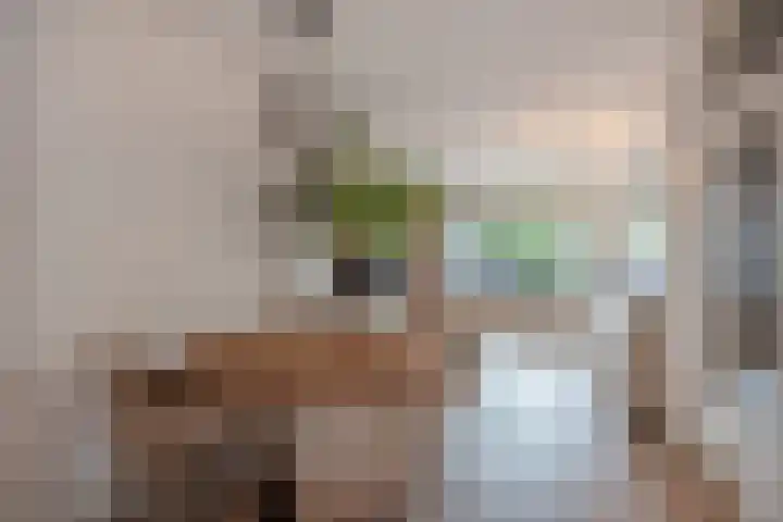 Steurendaal 24 Den Haag thumbnail 6