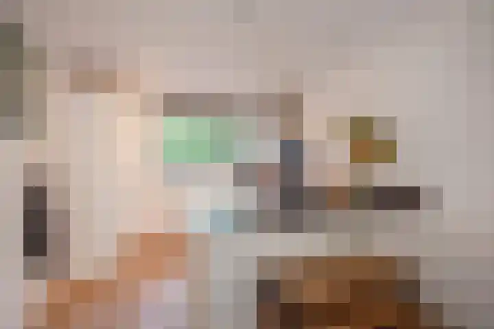 Steurendaal 24 Den Haag thumbnail 7