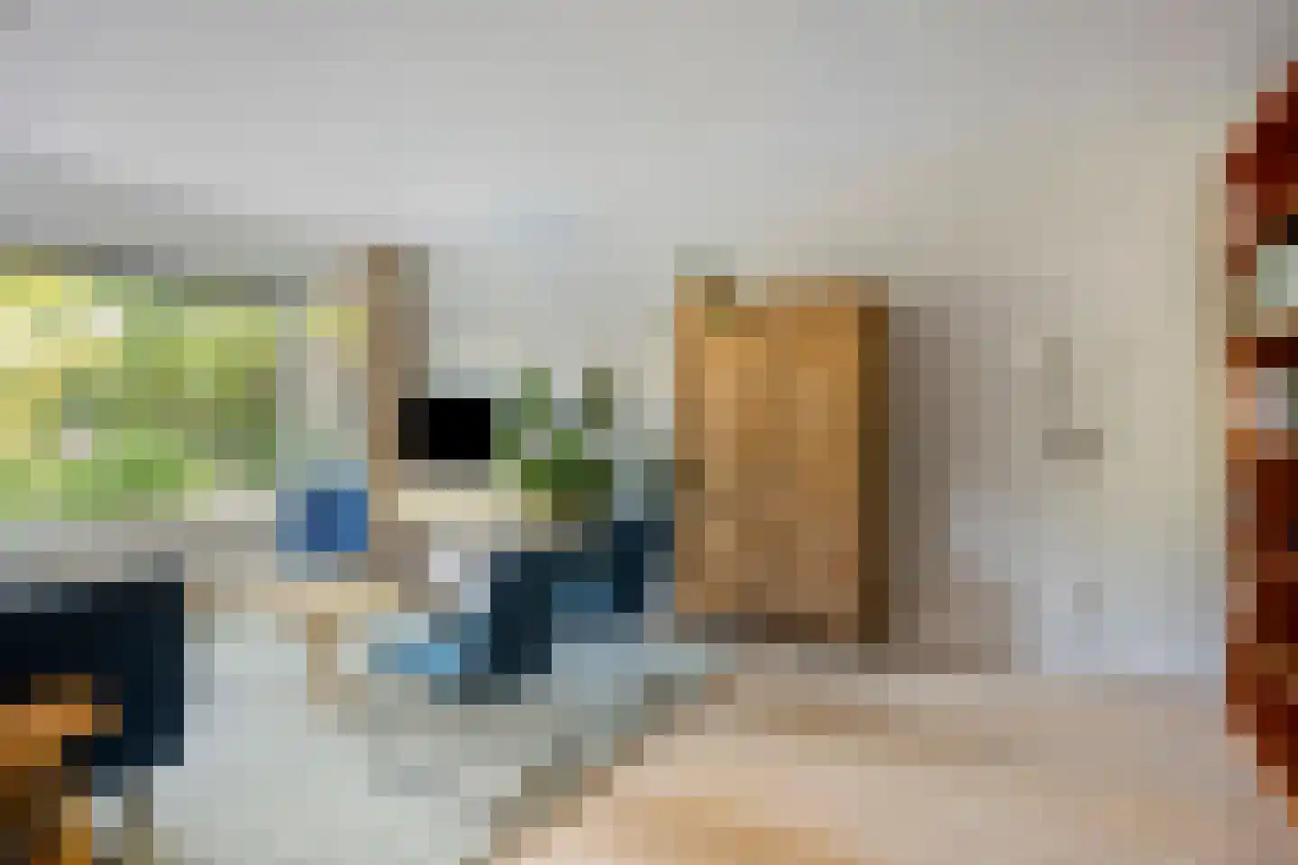 Steurendaal 25 Den Haag thumbnail 12