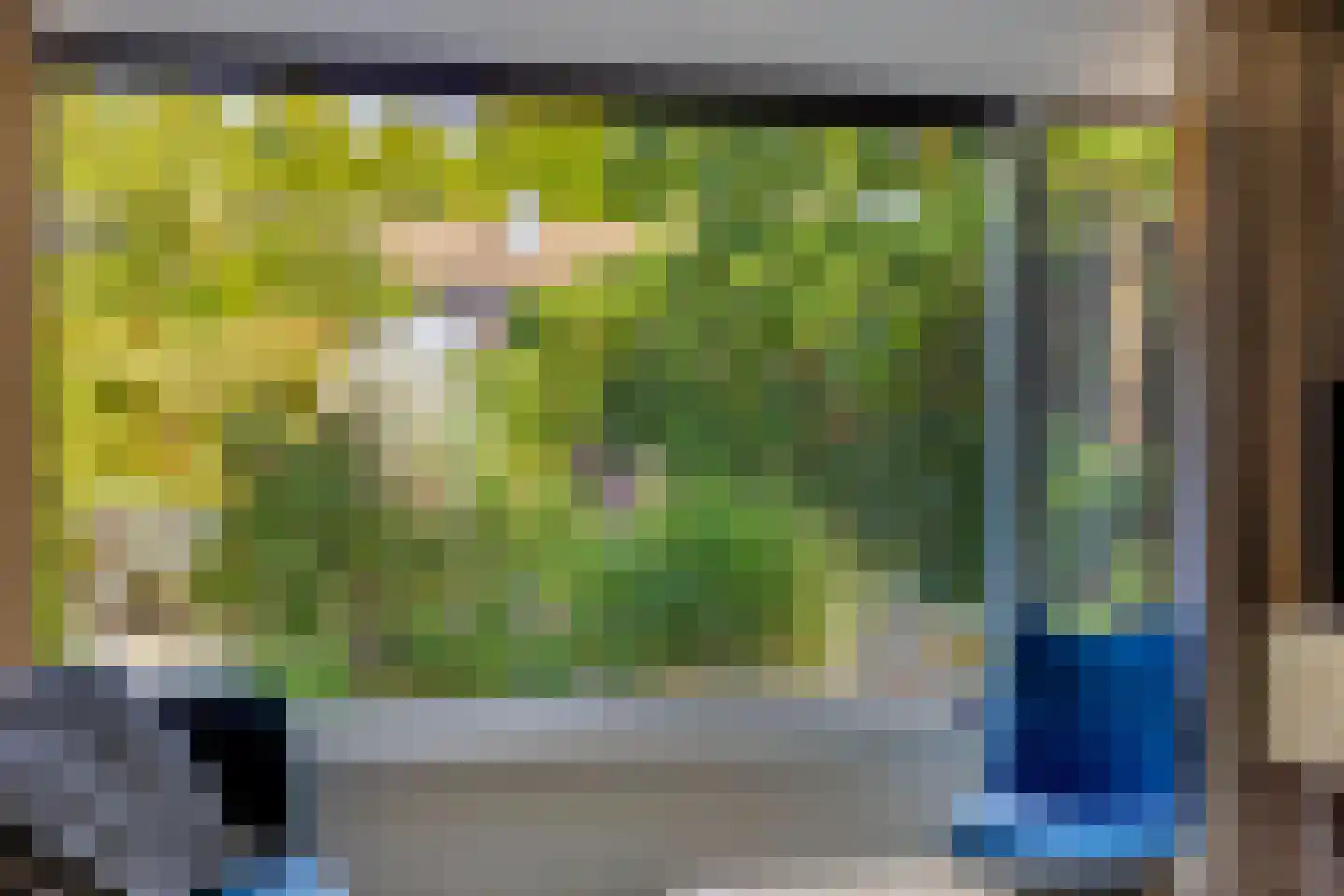 Steurendaal 25 Den Haag thumbnail 17