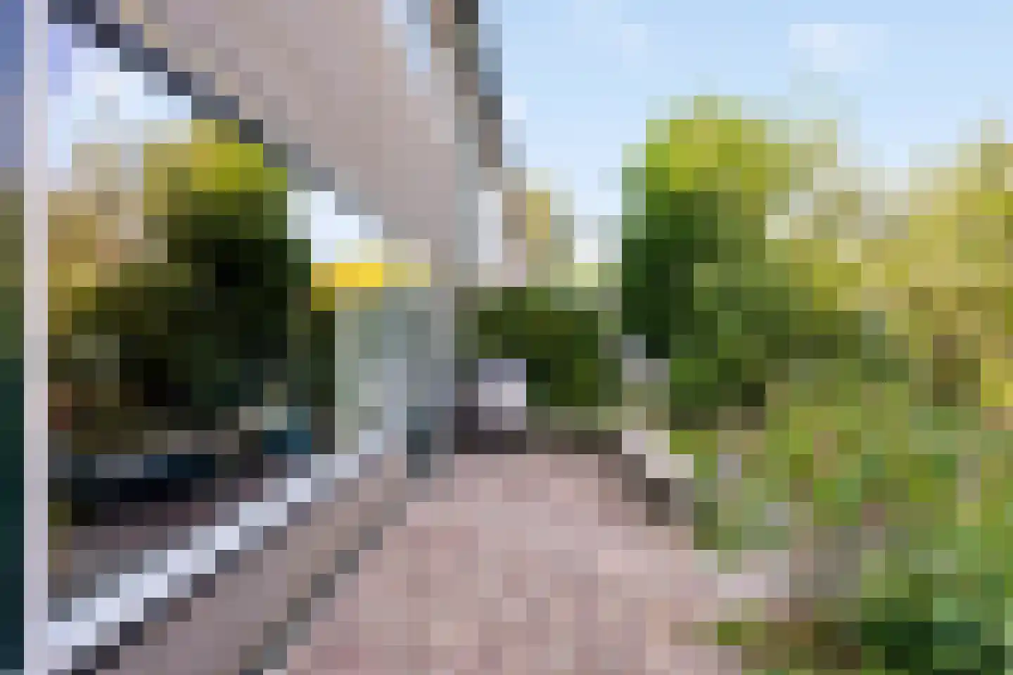 Steurendaal 25 Den Haag thumbnail 19