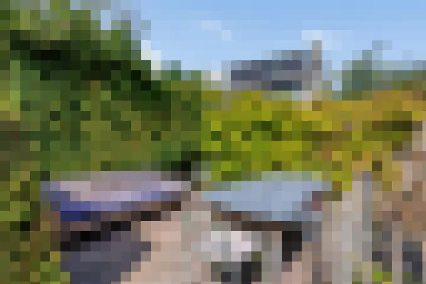 Steurendaal 25 Den Haag thumbnail 21