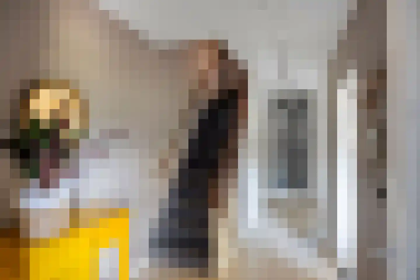 Steurendaal 25 Den Haag thumbnail 8