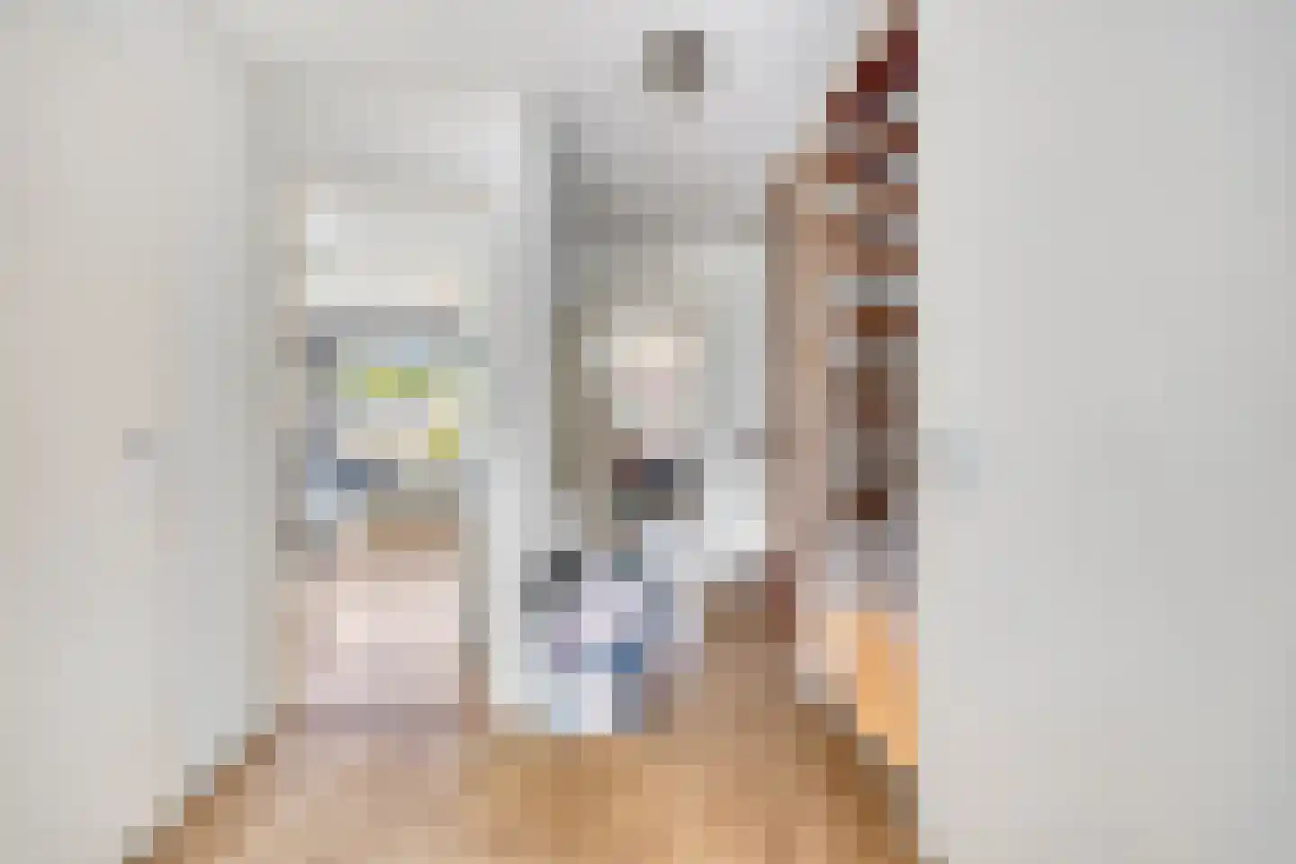 Steurendaal 3 Den Haag thumbnail 12