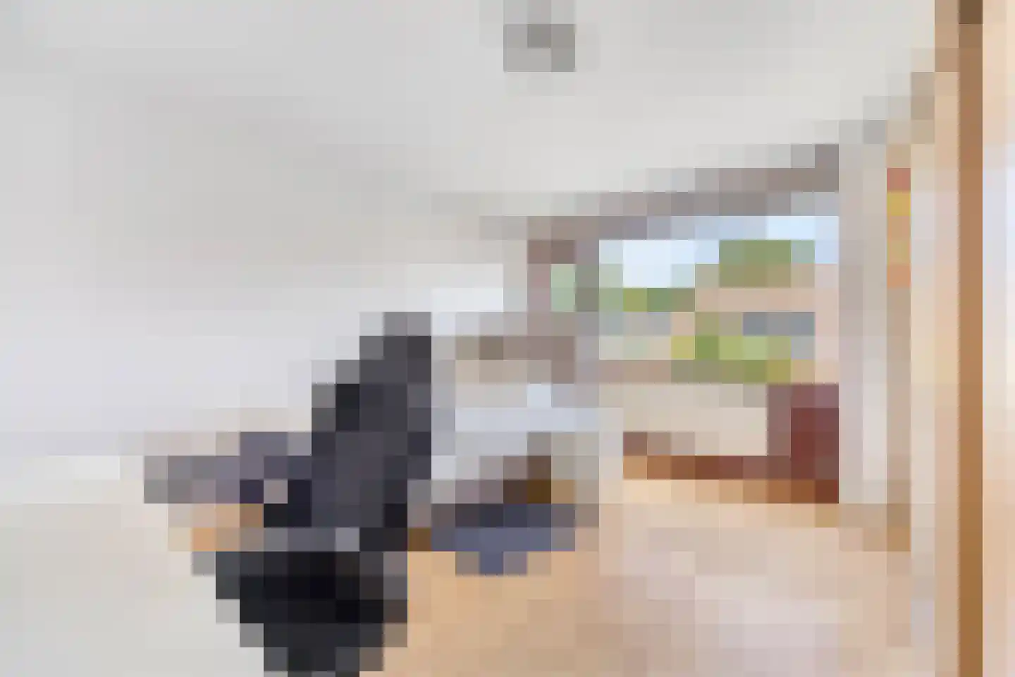 Steurendaal 3 Den Haag thumbnail 17