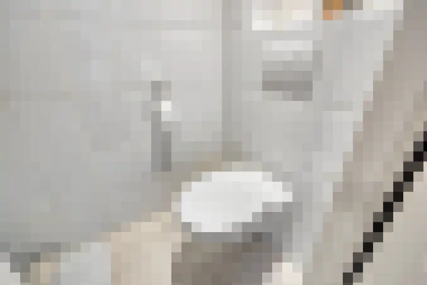 Steurendaal 3 Den Haag thumbnail 20