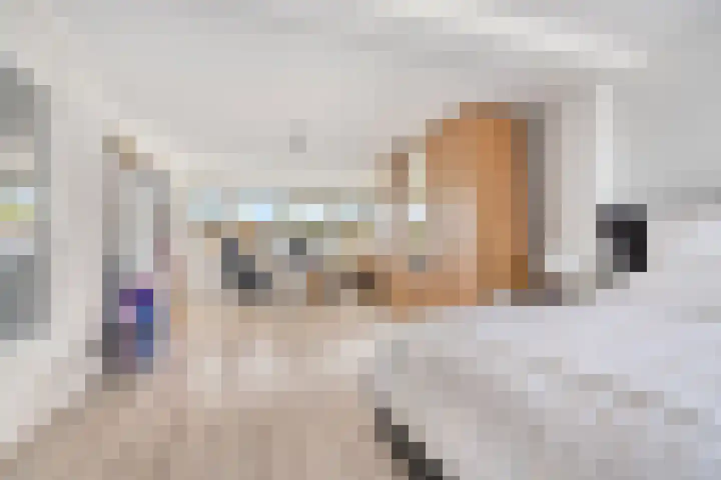 Steurendaal 3 Den Haag thumbnail 23