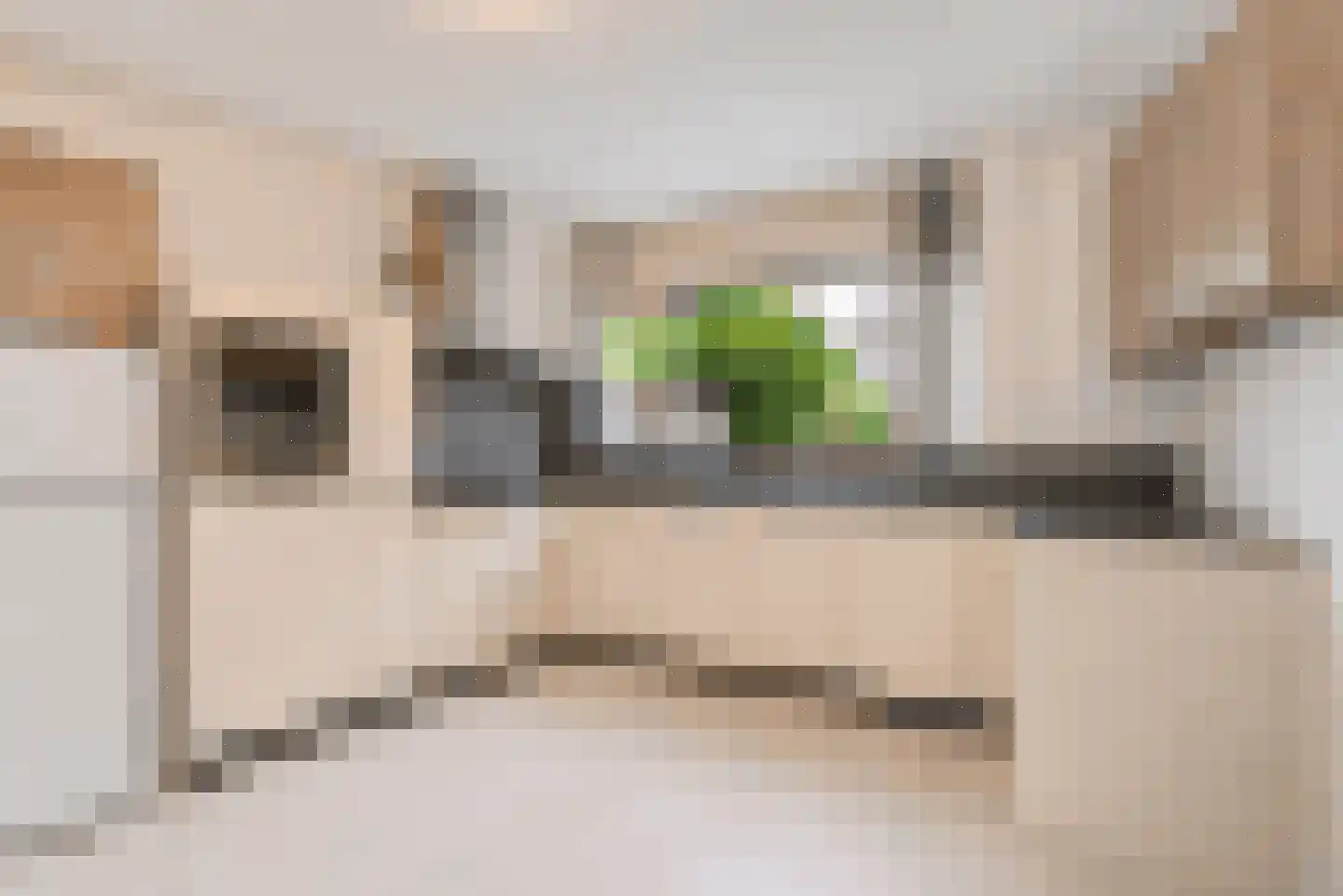 Steurendaal 3 Den Haag thumbnail 28