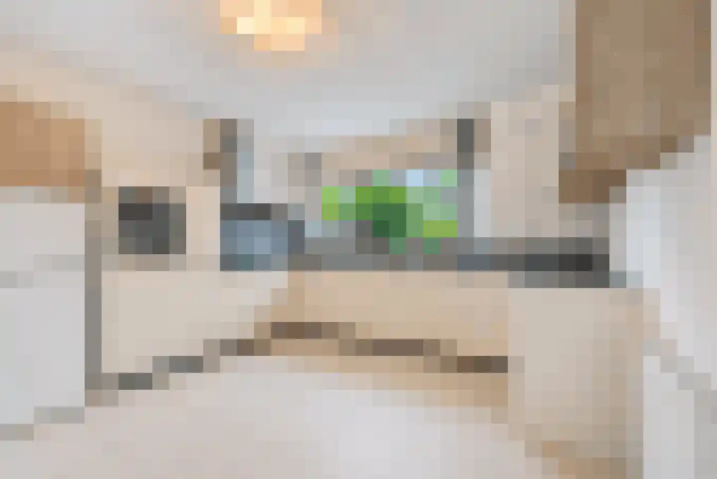 Steurendaal 3 Den Haag thumbnail 8
