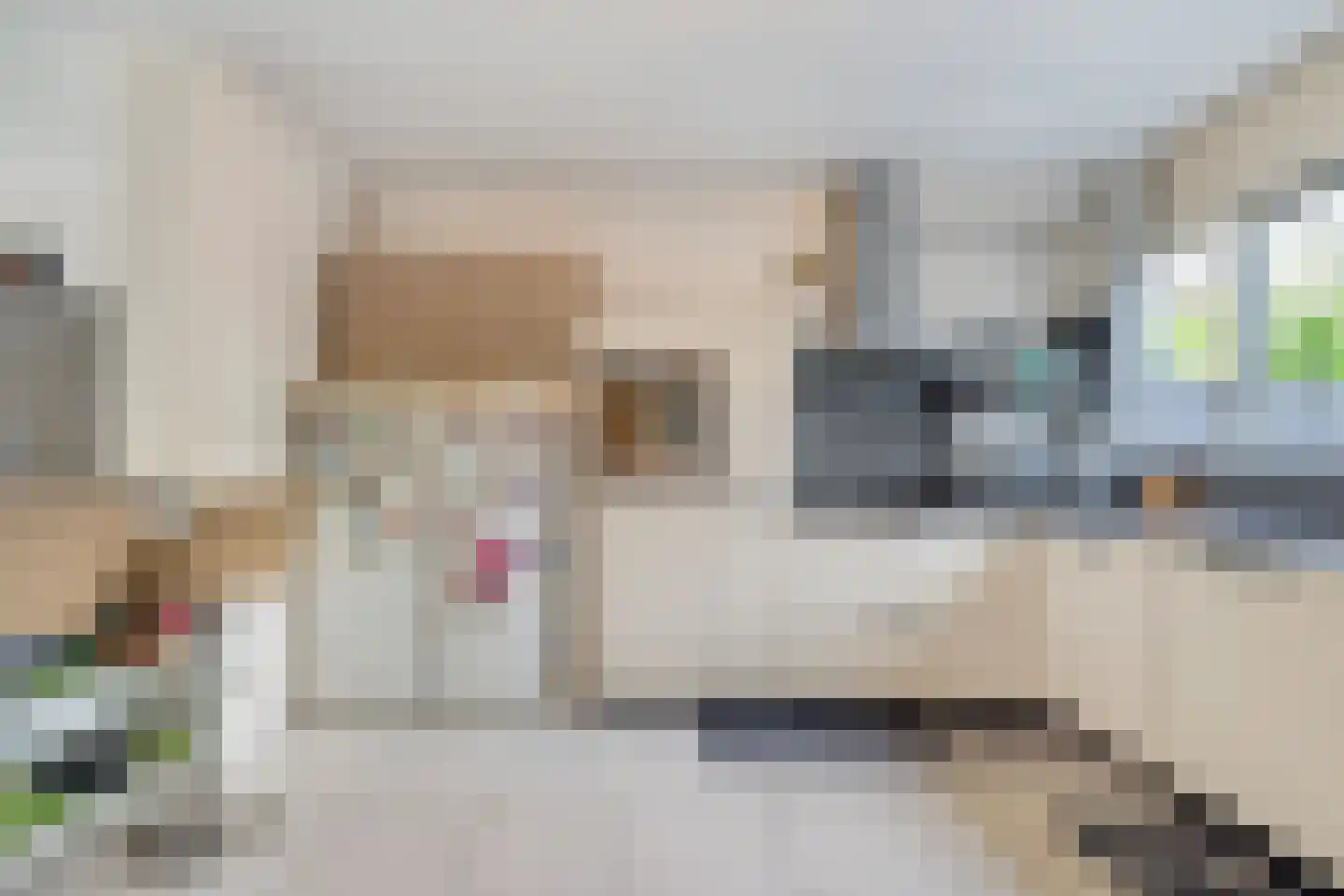Steurendaal 3 Den Haag thumbnail 9