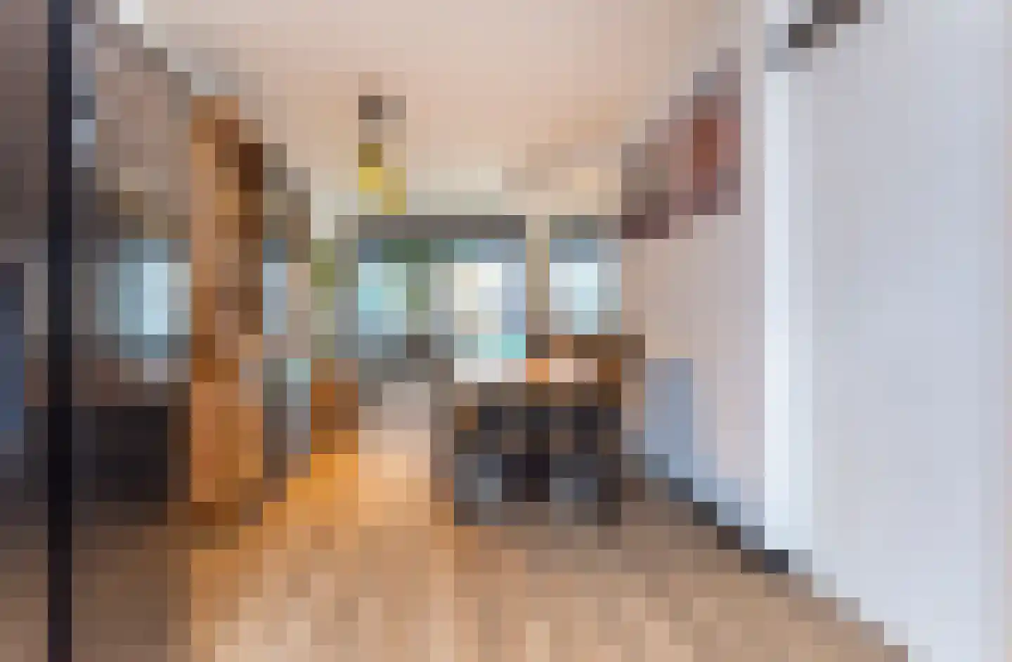 Steurendaal 32 Den Haag thumbnail 10