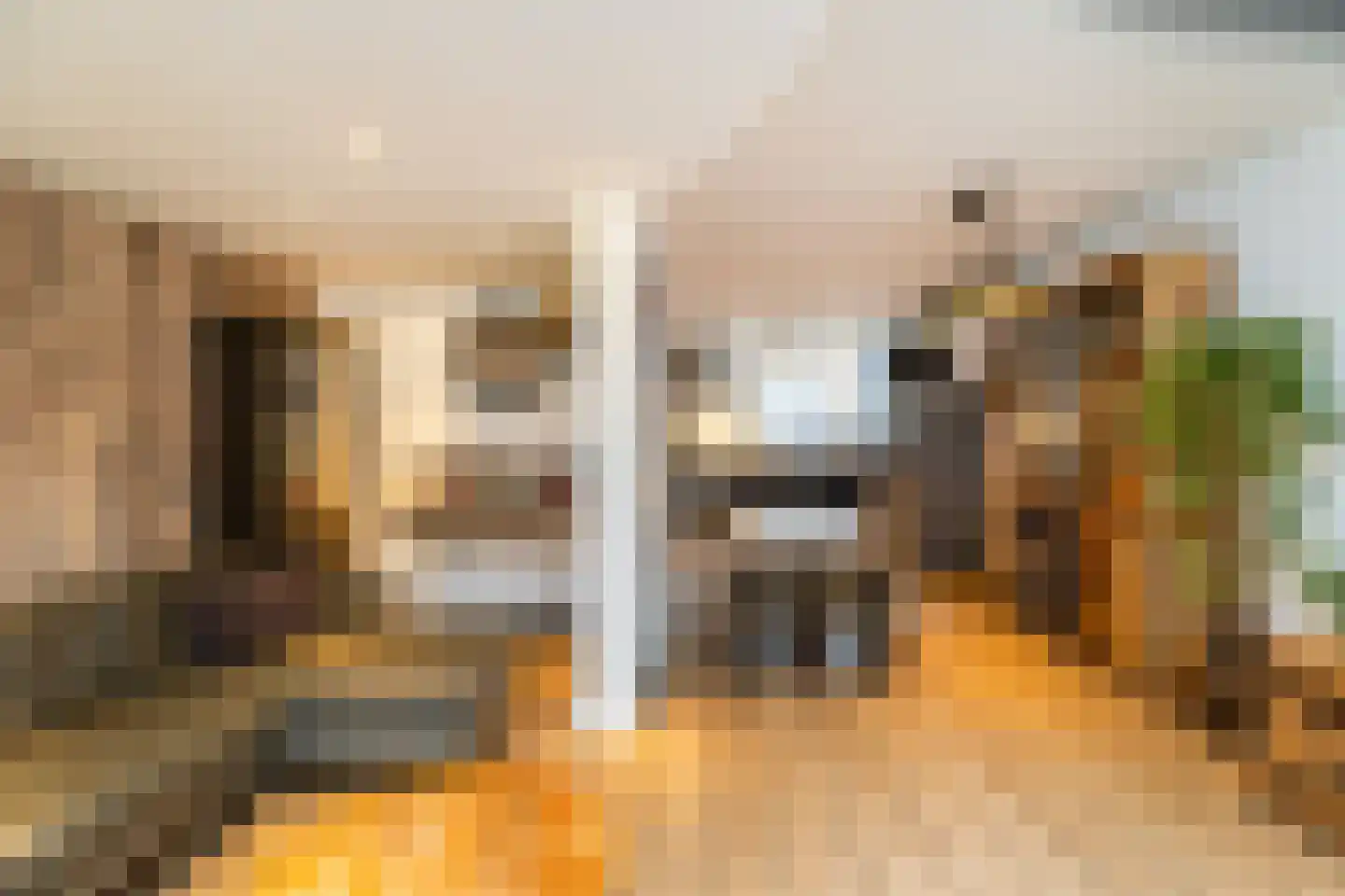 Steurendaal 32 Den Haag thumbnail 11