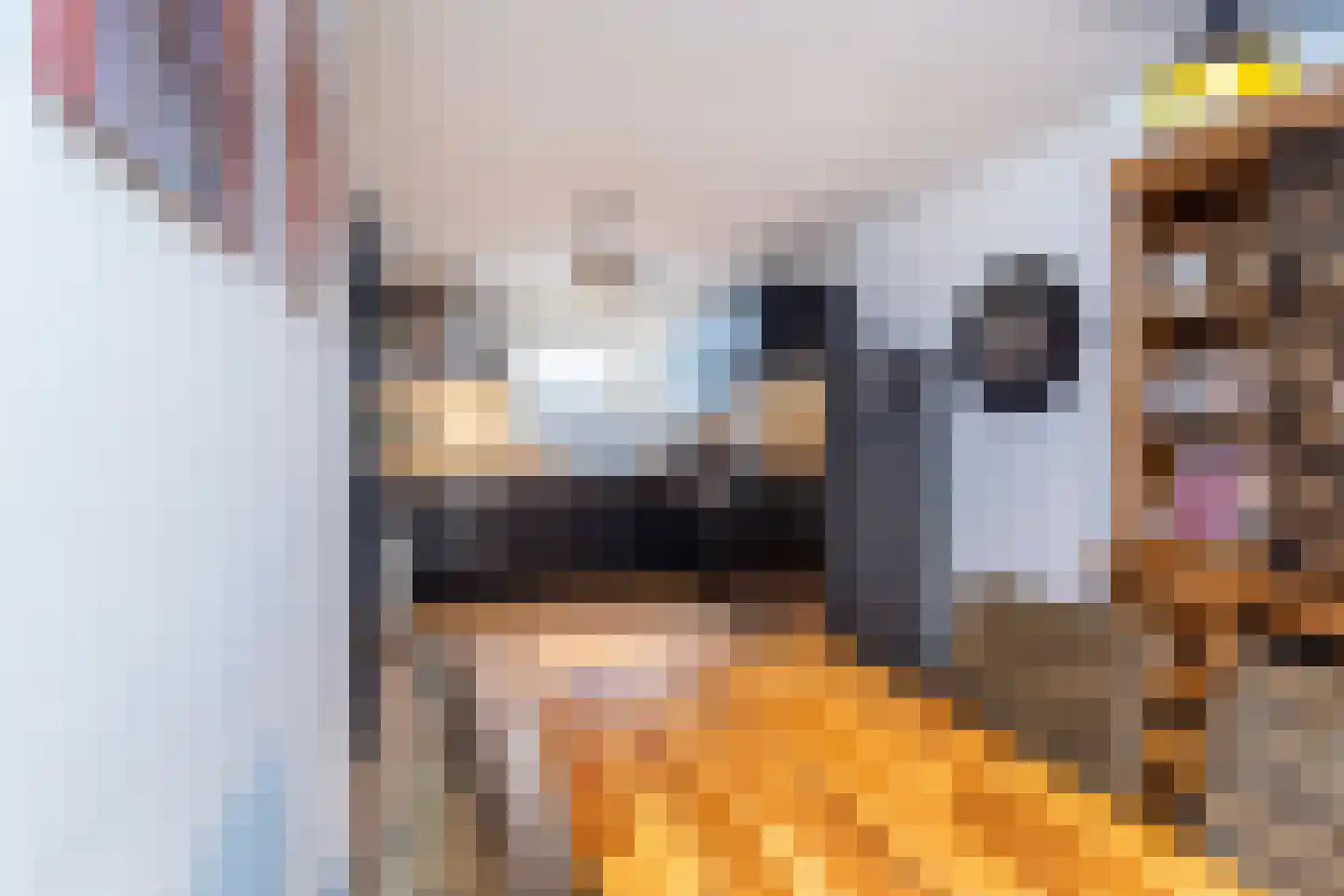 Steurendaal 32 Den Haag thumbnail 17