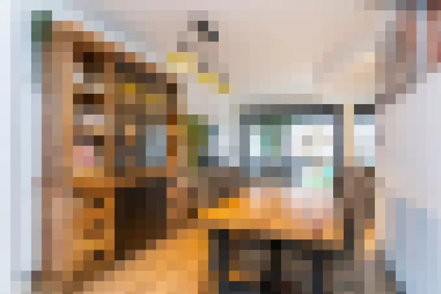 Steurendaal 32 Den Haag thumbnail 9