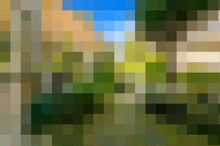 Steurendaal 39 Den Haag thumbnail 4