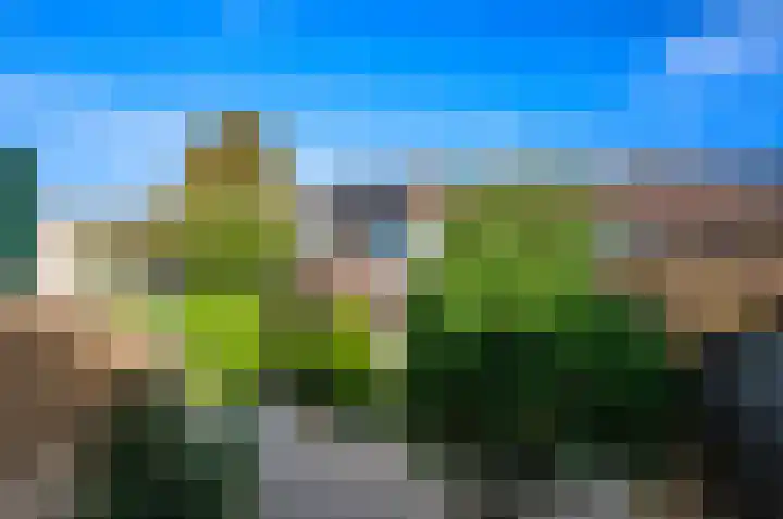 Steurendaal 39 Den Haag thumbnail 47